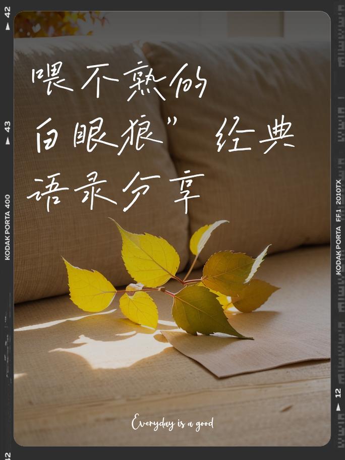 当养不熟成为现实，一位教育专家对白眼狼现象的深度剖析与破局之策