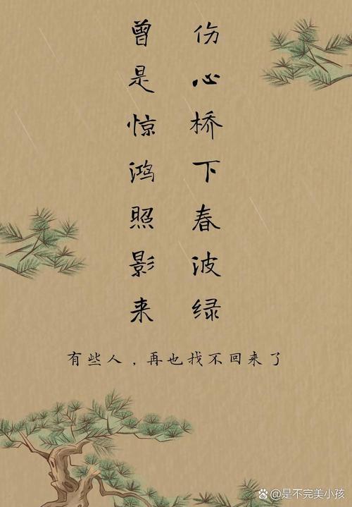 鹊桥的隐喻，论教育中的分离与重逢
