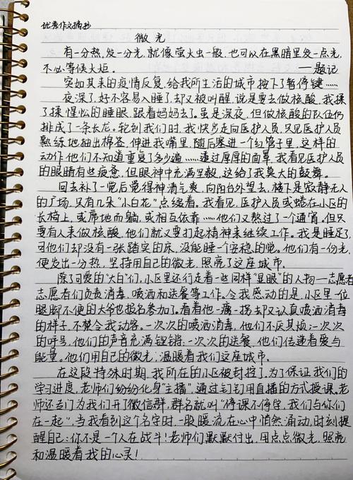 十字路口的微光，初中辍学少年的多维出路与生命重塑