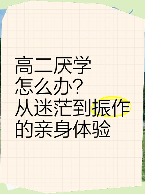 高二男生厌学，风暴眼中的突围