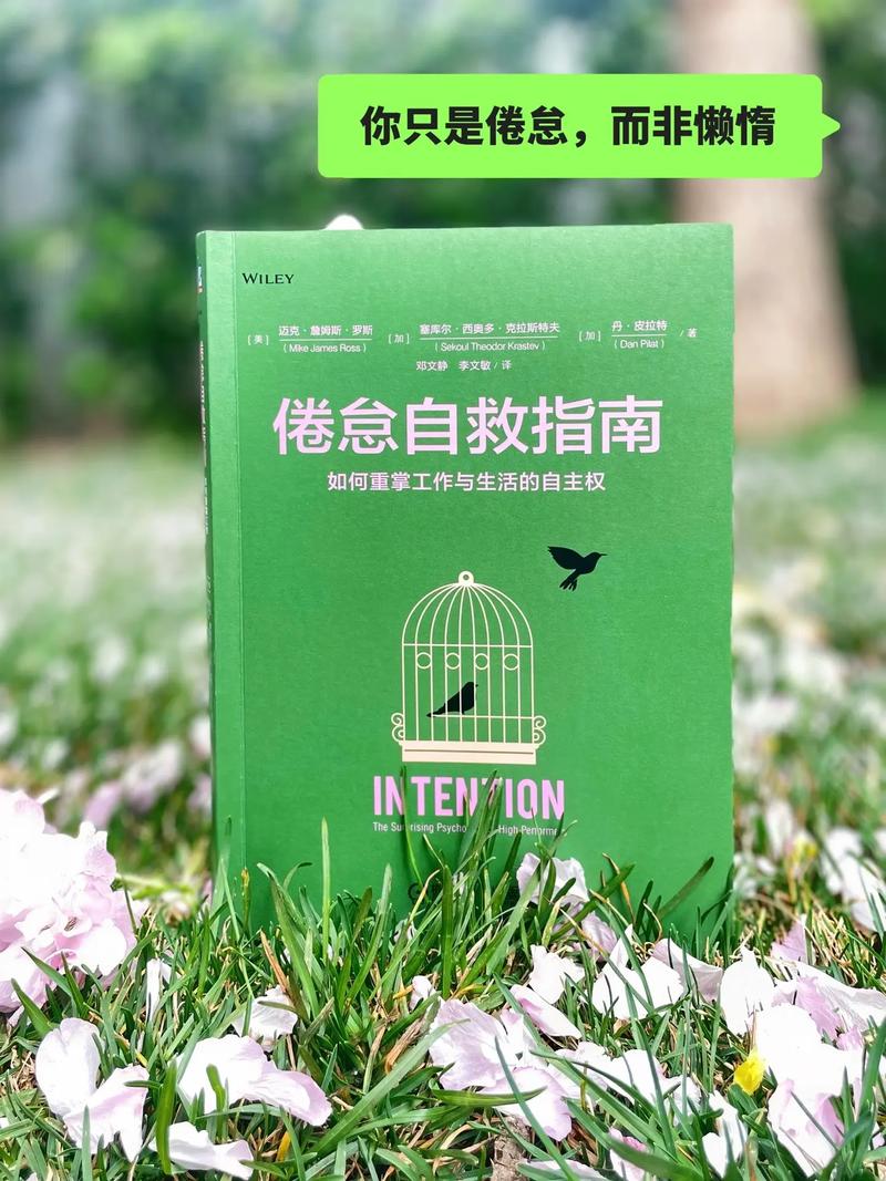 动力缺失，高中生学业倦怠的深层破解与自救指南