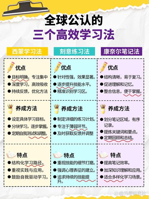 高中课堂听不懂？教育专家教你破解学习困局五步法