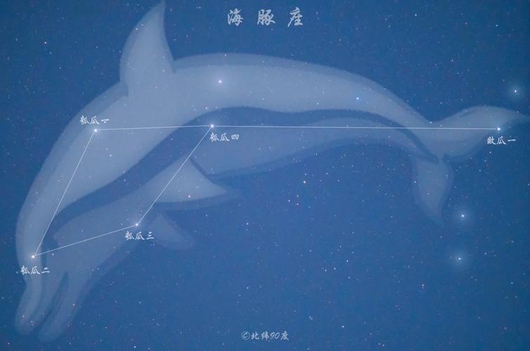 星空中的拯救者，海豚座神话里的生命教育启示