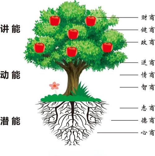 根脉相连，从夫妻树看教育中的共生哲学
