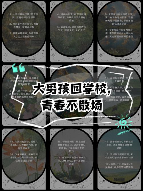 13岁男孩拒绝踏入校门？揭开青春期教育困局的深层密码