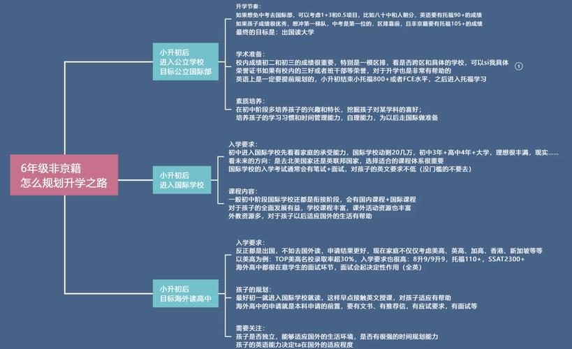 教育专家深度解析，16岁女孩离开校园后的多元化成长路径