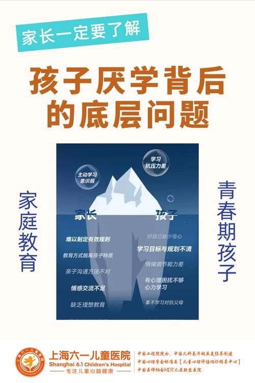 当初中孩子拒绝上学，一位教育专家的深度解析与实用指南