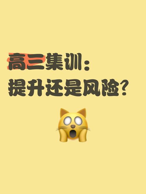 高三脱校集训，教育捷径还是风险歧途？