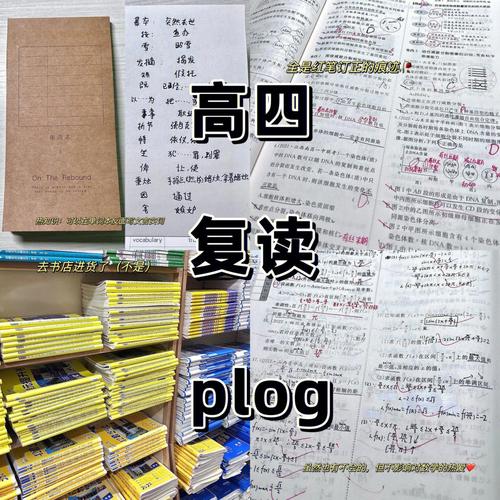 高四复读在家自学，一场豪赌还是明智之选？