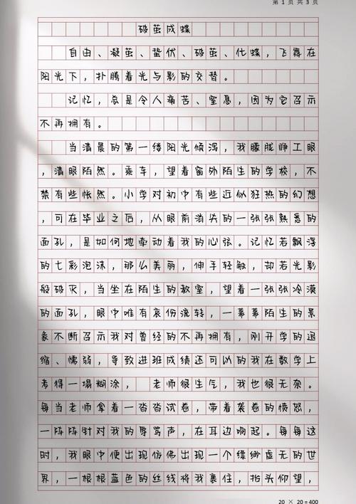 中等生突围，初中转折点上的破茧成蝶