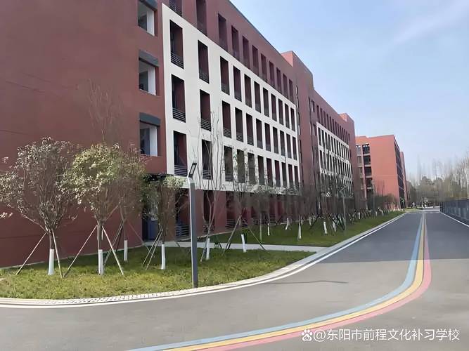 高一成绩与高三成绩的蜕变，三年成长路上的惊人差异