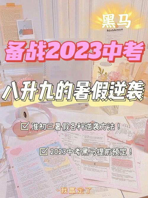 补课还是补能？初二升初三暑假的抉择困局