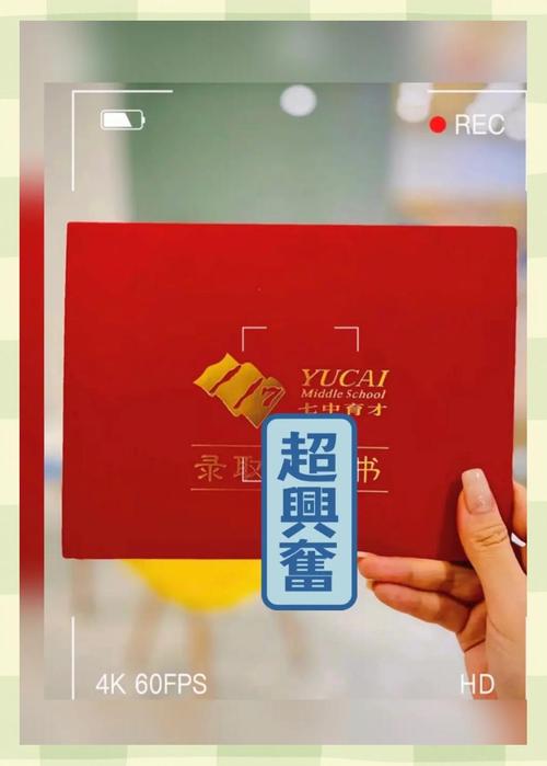 垫底进名校，当凤尾的代价与希望