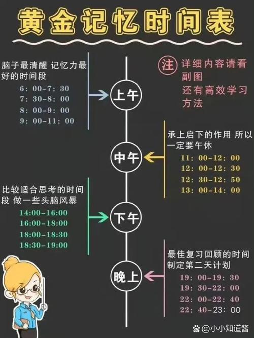 黄金三小时，初中生最佳作业时间背后的科学密码