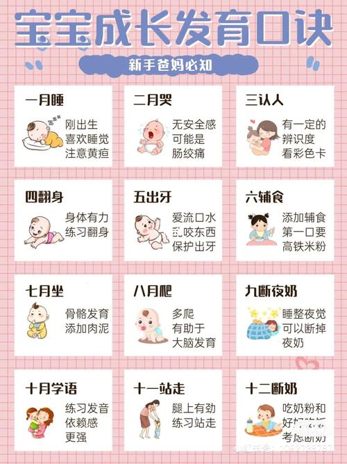 0-1岁婴儿成长关键期指导